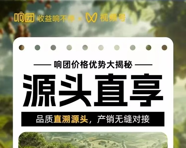響團平臺詳細講解，附注冊加入步驟！