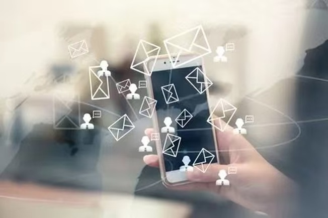 翠鳥數據查詢要收費嗎？在哪里可以查詢？